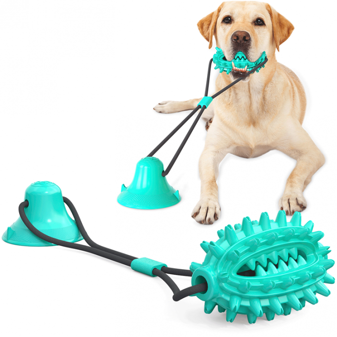 Dientes de alta calidad 2021 de Of del fabricante que limpian los juguetes del cepillo de dientes del perro con los productos interactivos elásticos del animal doméstico de los juguetes