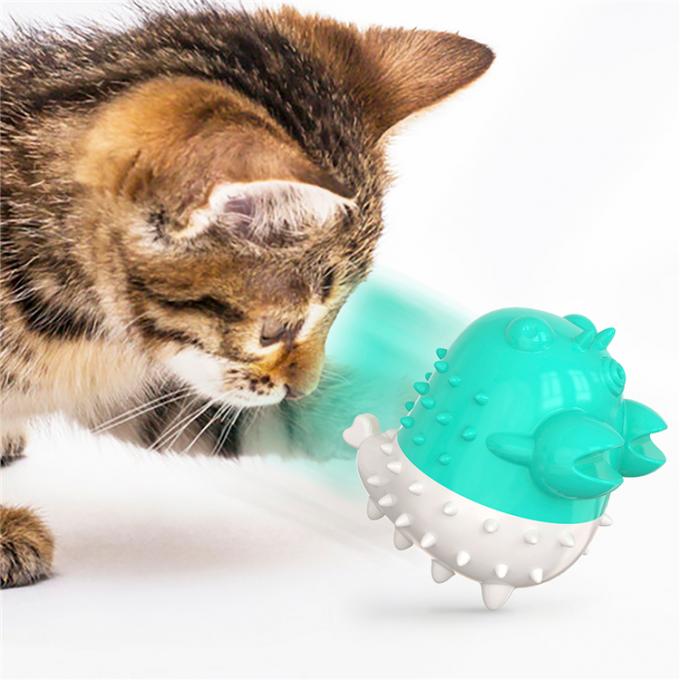 La langosta al por mayor de la fábrica de la fuente forma directamente los dientes de Kitten Electric Toothbrush For Cat que limpian el juguete