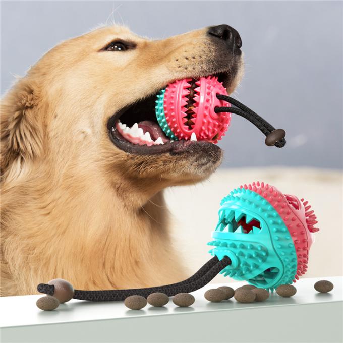 Bola interactiva al aire libre e interior del manual durable del nuevo diseño 2021 del animal doméstico de perrito de perro de la comida del alimentador con la función del cepillo de dientes